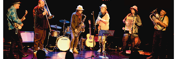 Raven And His Dixie Syncopators, musicien Jazz en représentation à Alpes de Haute Provence - photo de couverture