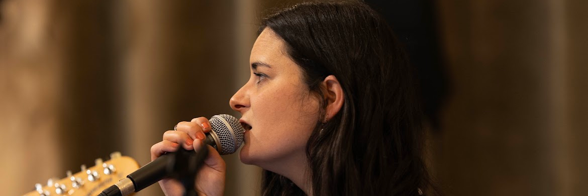 Velvet Anacrouse, musicien Jazz en représentation à Aube - photo de couverture n° 3