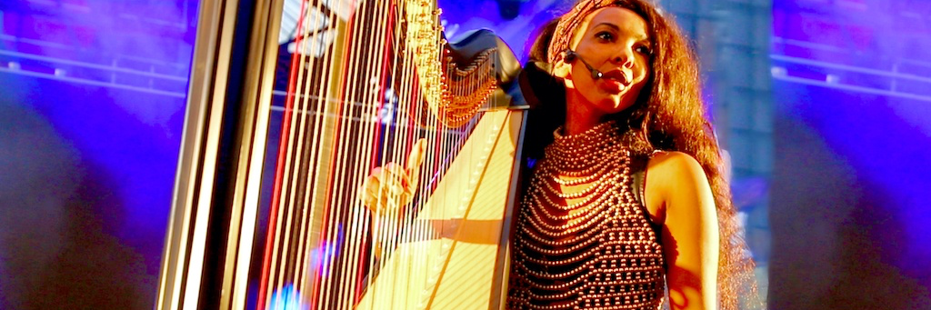 ZEM, musicien Harpiste en représentation à Paris - photo de couverture n° 1