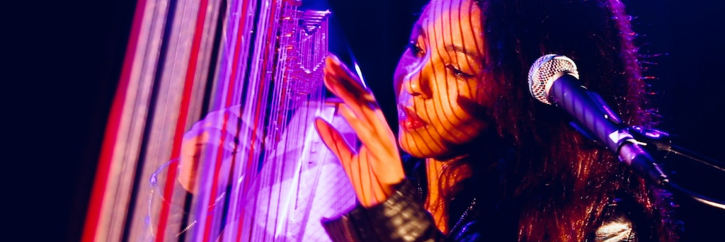 ZEM, musicien Harpiste en représentation à Paris - photo de couverture n° 2