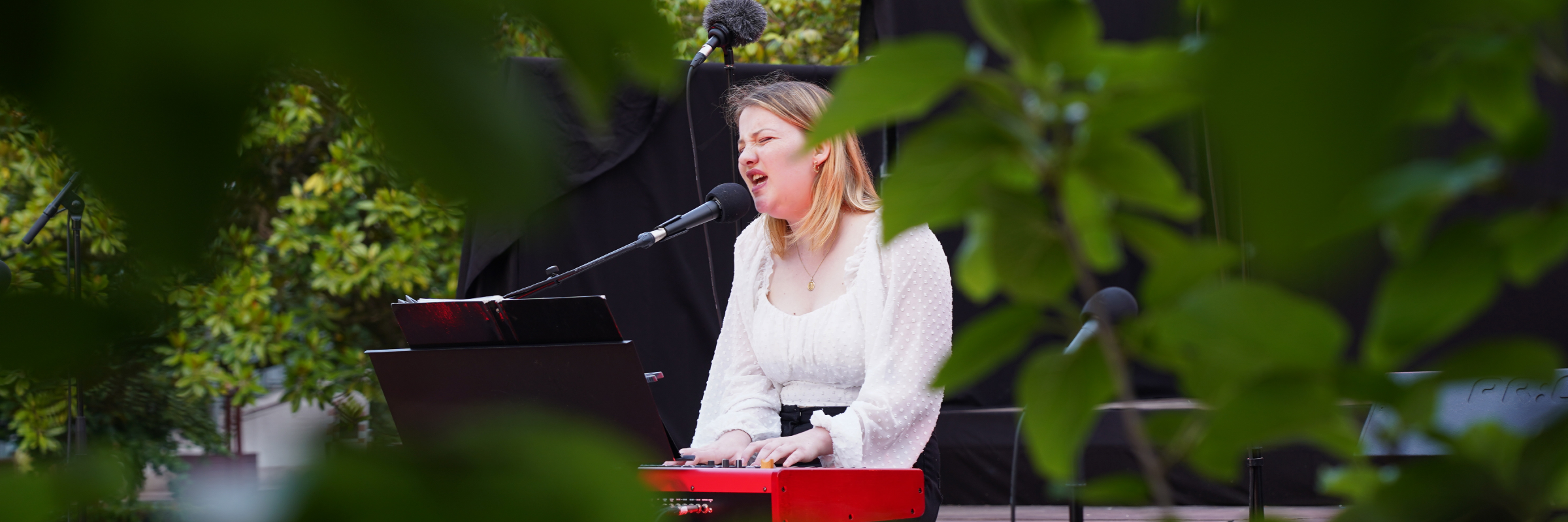 Solène, musicien Chanteur en représentation à Vendée - photo de couverture n° 1