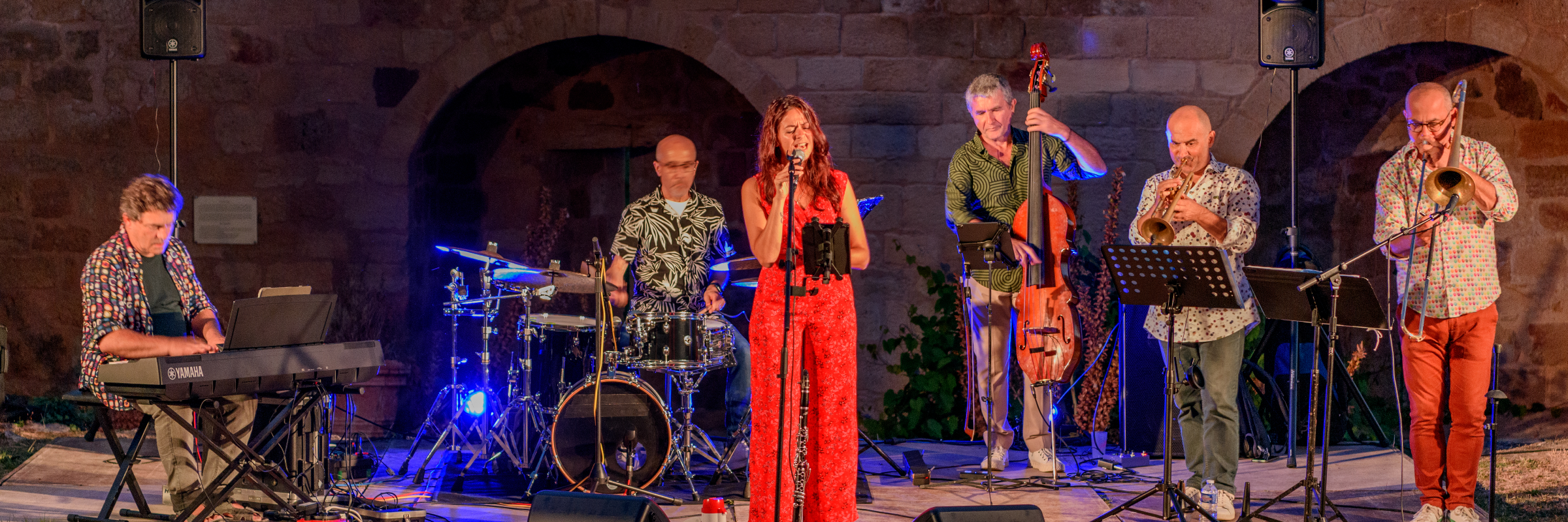 Armonia Jazz Up, groupe de musique Chanteur en représentation à Gironde - photo de couverture n° 2