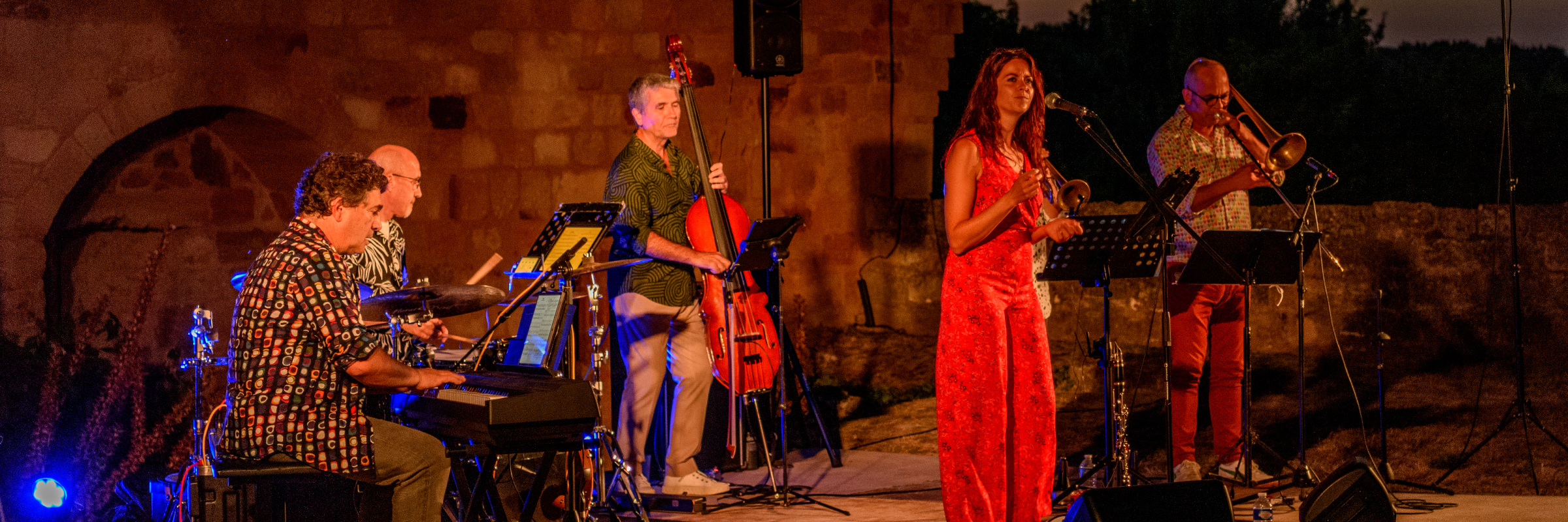 Armonia Jazz Up, groupe de musique Chanteur en représentation à Gironde - photo de couverture n° 3