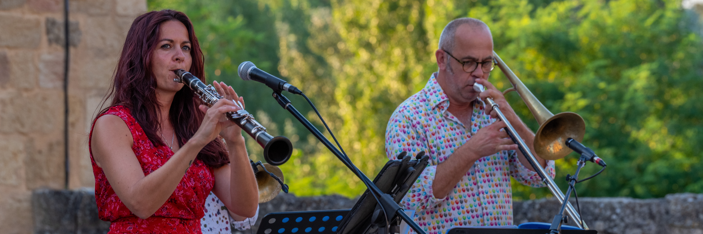 Armonia Jazz Up, groupe de musique Chanteur en représentation à Gironde - photo de couverture n° 4