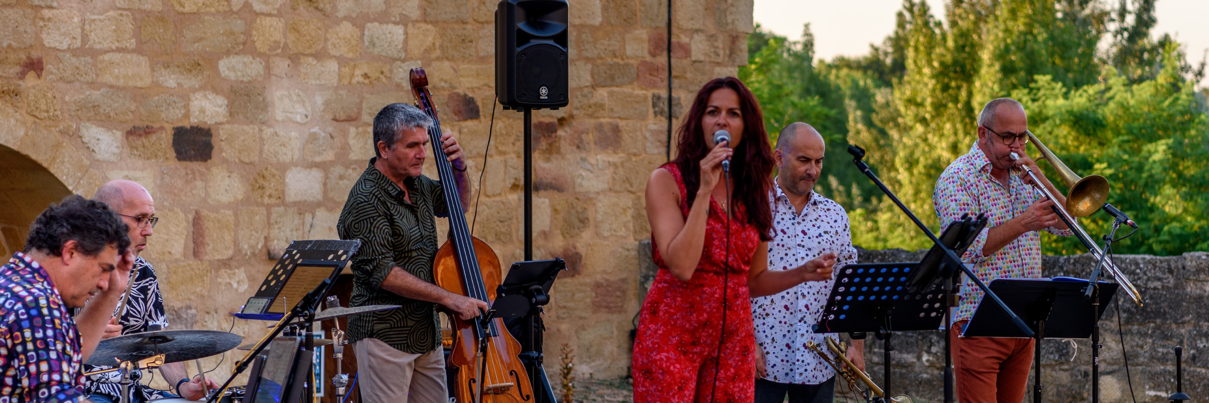 Armonia Jazz Up, groupe de musique Chanteur en représentation à Gironde - photo de couverture n° 5