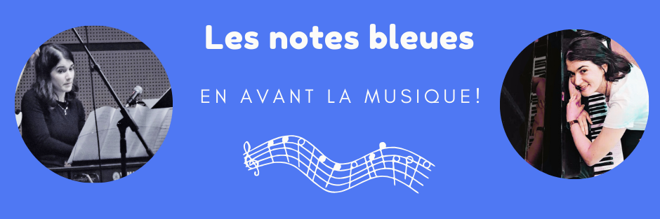 Les notes bleues, musicien Acoustique en représentation à Tarn et Garonne - photo de couverture