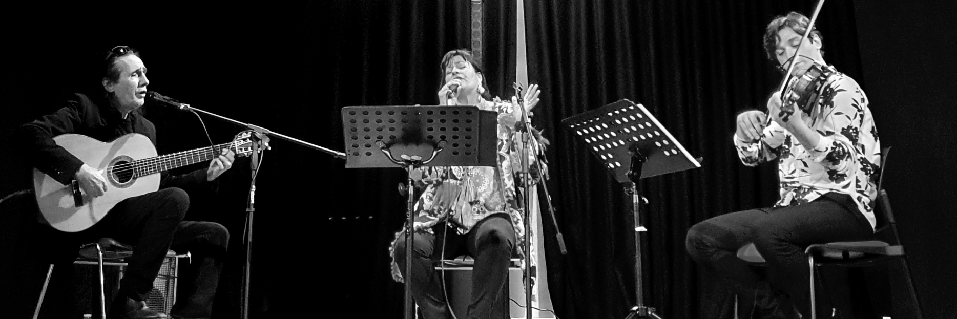 Ludo "V", musicien Classique en représentation à Aude - photo de couverture