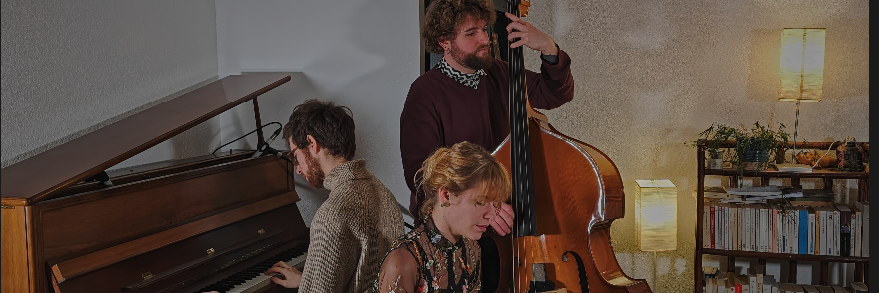 WING, groupe de musique Jazz en représentation à Indre et Loire - photo de couverture n° 5