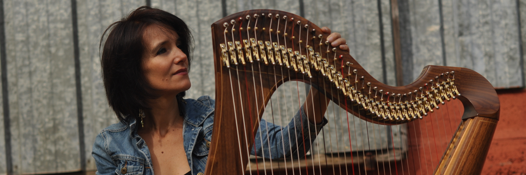 Aurore Bréger, musicien Harpiste en représentation à Ille et Vilaine - photo de couverture