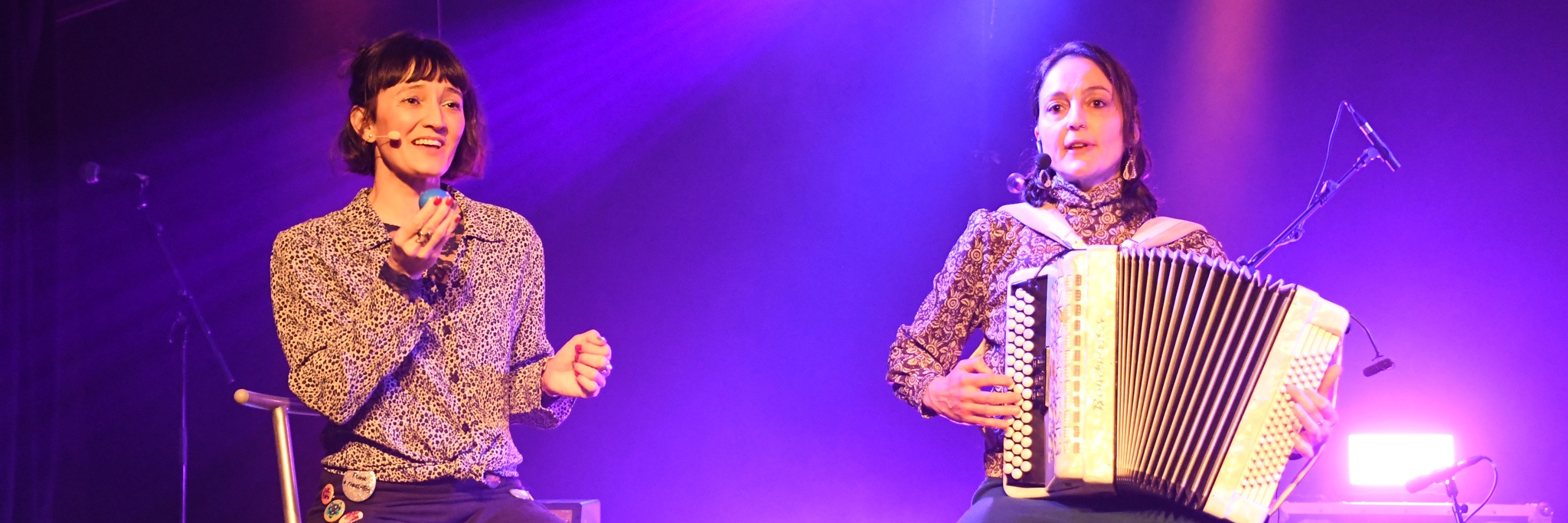 Telma&LouiseMichel, groupe de musique Musique Française en représentation à Vienne - photo de couverture n° 2