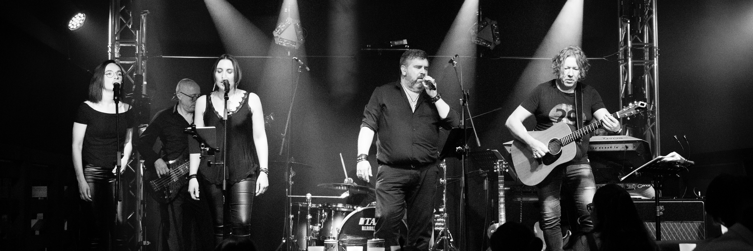 Trib Hallyday, groupe de musique Rock en représentation à Saône et Loire - photo de couverture n° 3