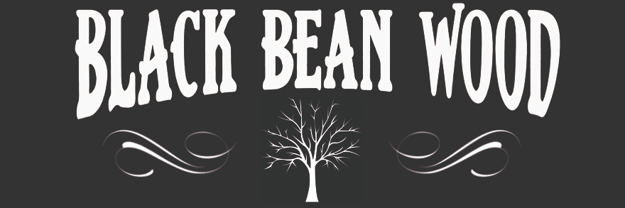 Black Bean Wood, groupe de musique Acoustique en représentation à Seine et Marne - photo de couverture