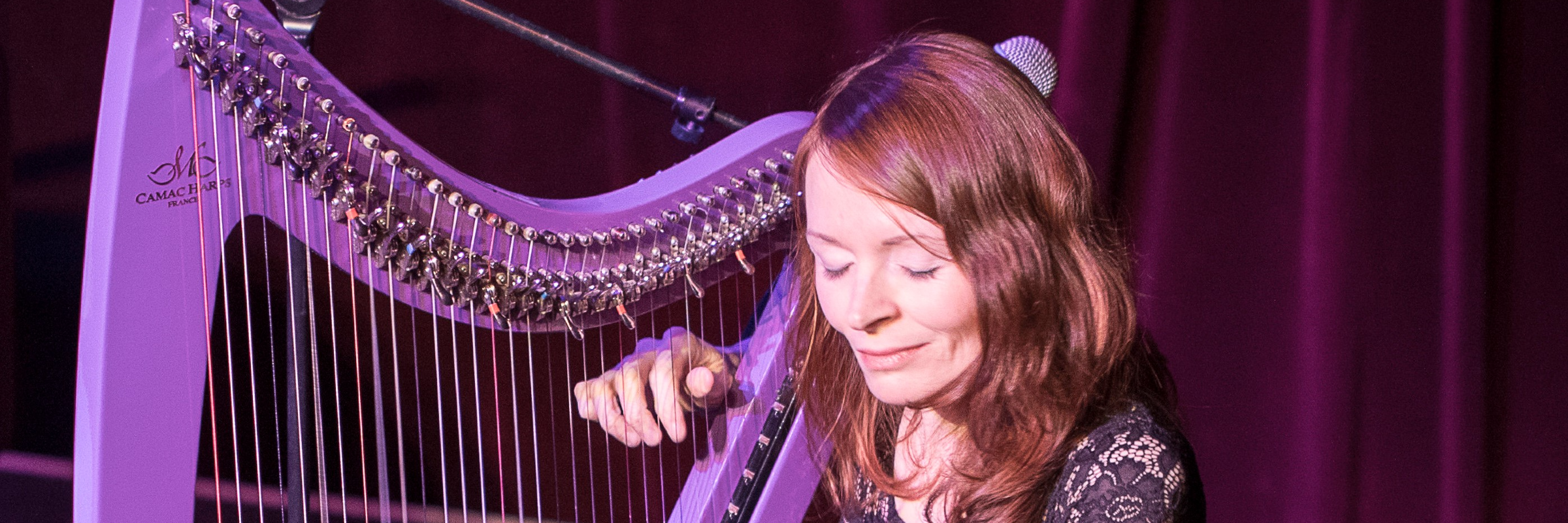 Gwenael Kerleo, musicien Harpiste en représentation à Finistère - photo de couverture n° 2