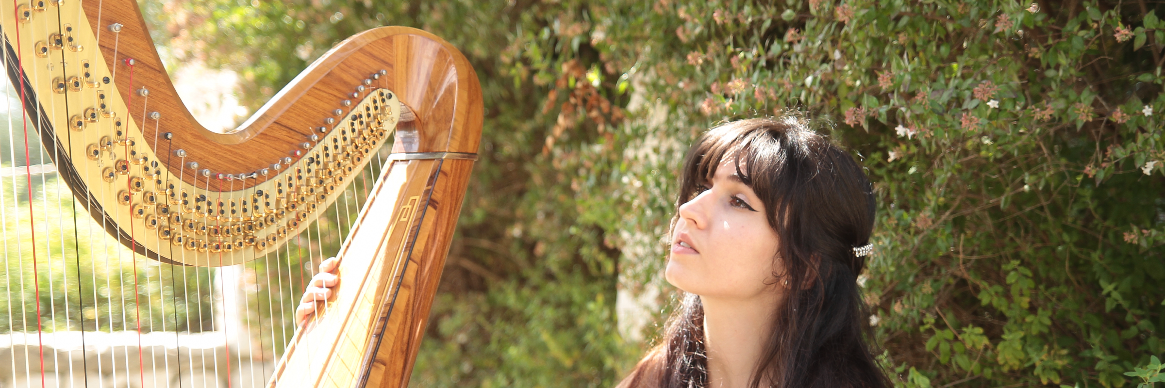 Camille Refait Live Harpist , musicien Harpiste en représentation à Alpes Maritimes - photo de couverture n° 1
