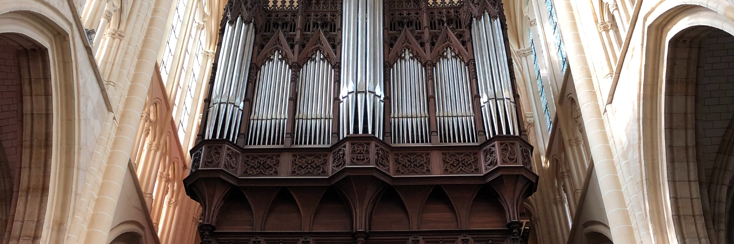 organiste liturgique, musicien Classique en représentation à Marne - photo de couverture n° 1