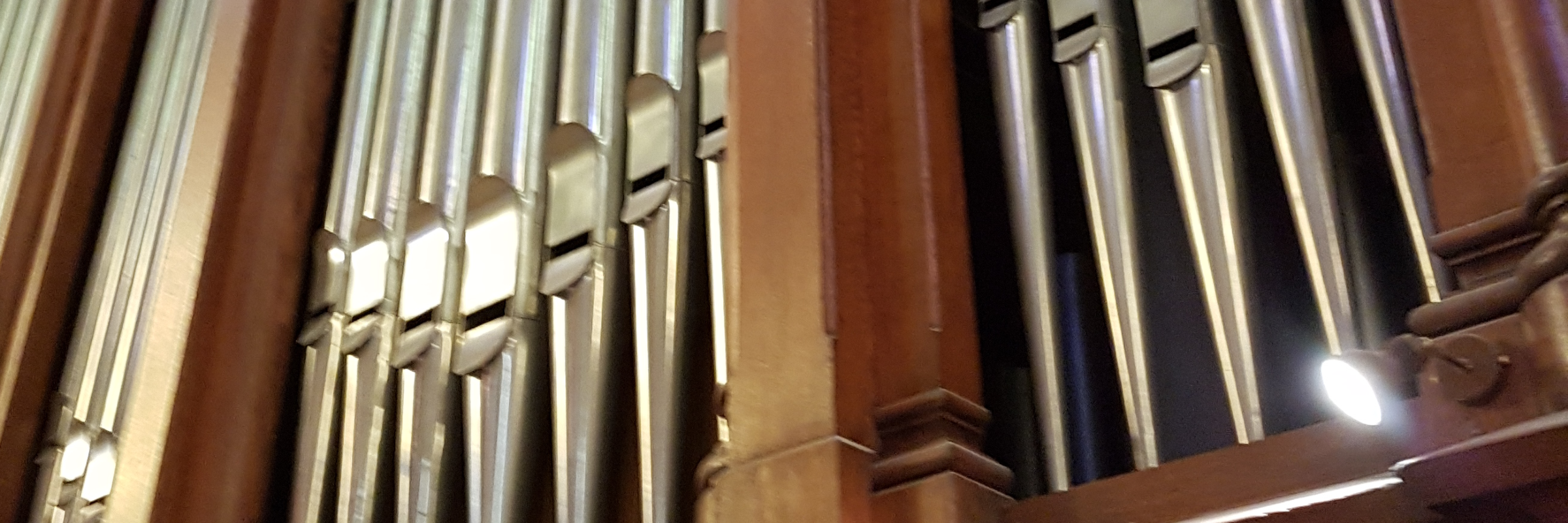 organiste liturgique, musicien Classique en représentation à Marne - photo de couverture n° 4