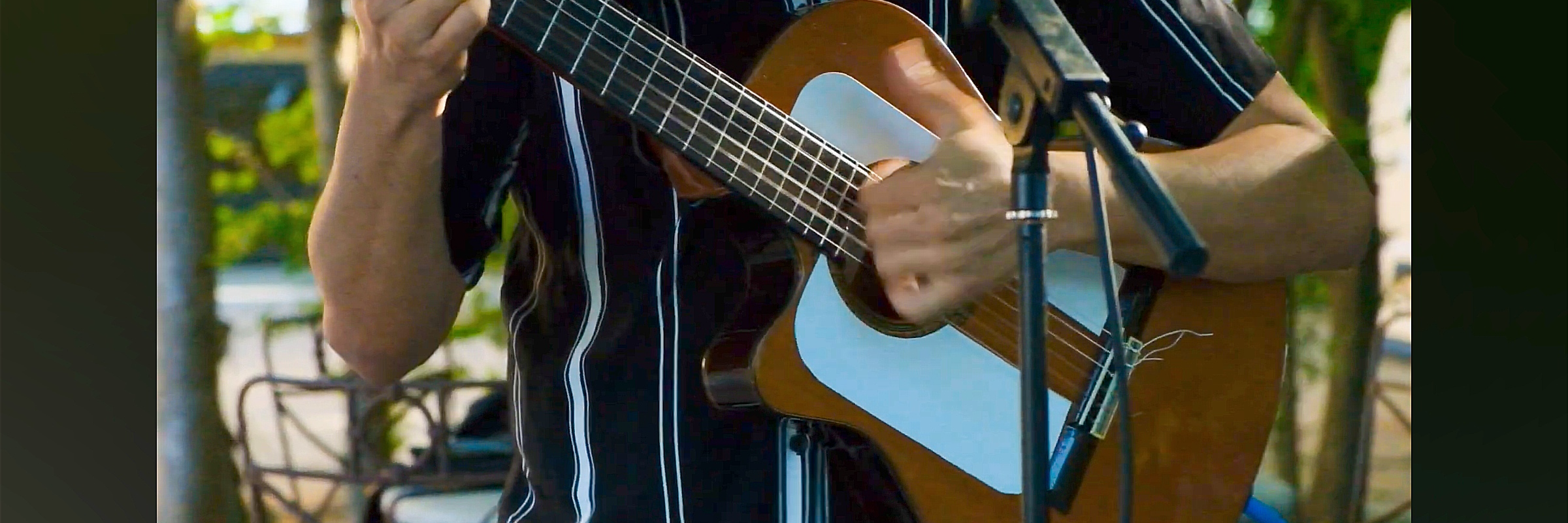 🎶 Gipsy rumba animations 🎶, musicien Chanteur en représentation à Pyrénées Orientales - photo de couverture