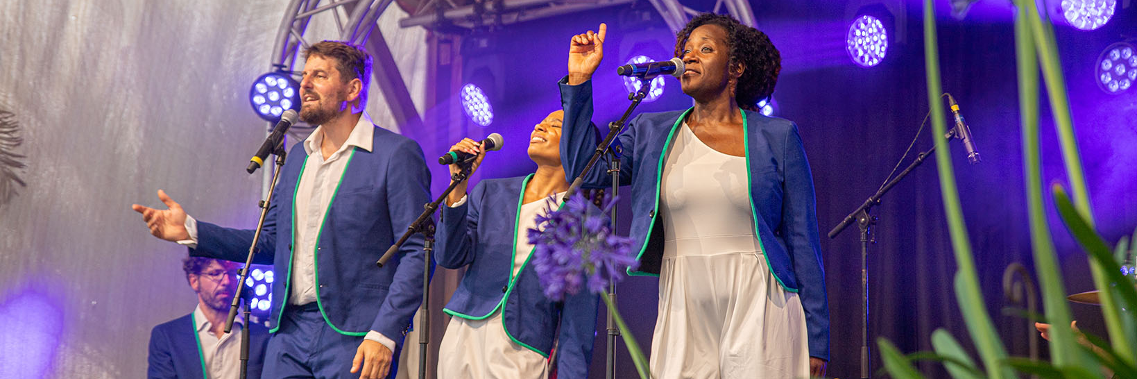 Ebony Roots, groupe de musique Soul en représentation à Loire Atlantique - photo de couverture