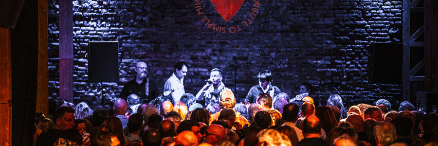 SIMPLE MINDS by THE MINDS, groupe de musique Rock en représentation à Province de Hainaut - photo de couverture n° 1