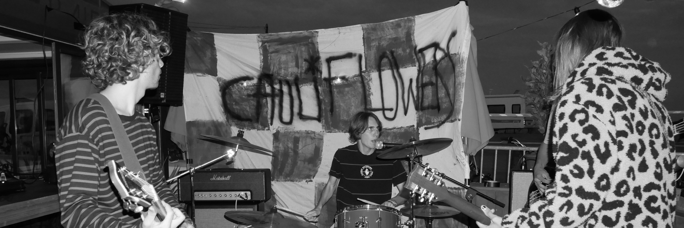 The Cauliflowers, groupe de musique Rock en représentation à Morbihan - photo de couverture