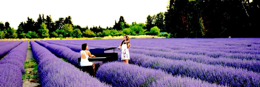 Duo Sacy, musicien Pianiste en représentation à Vaucluse - photo de couverture