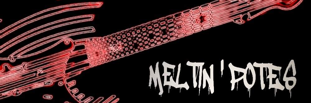 Meltin'potes, groupe de musique Rock en représentation à Ille et Vilaine - photo de couverture