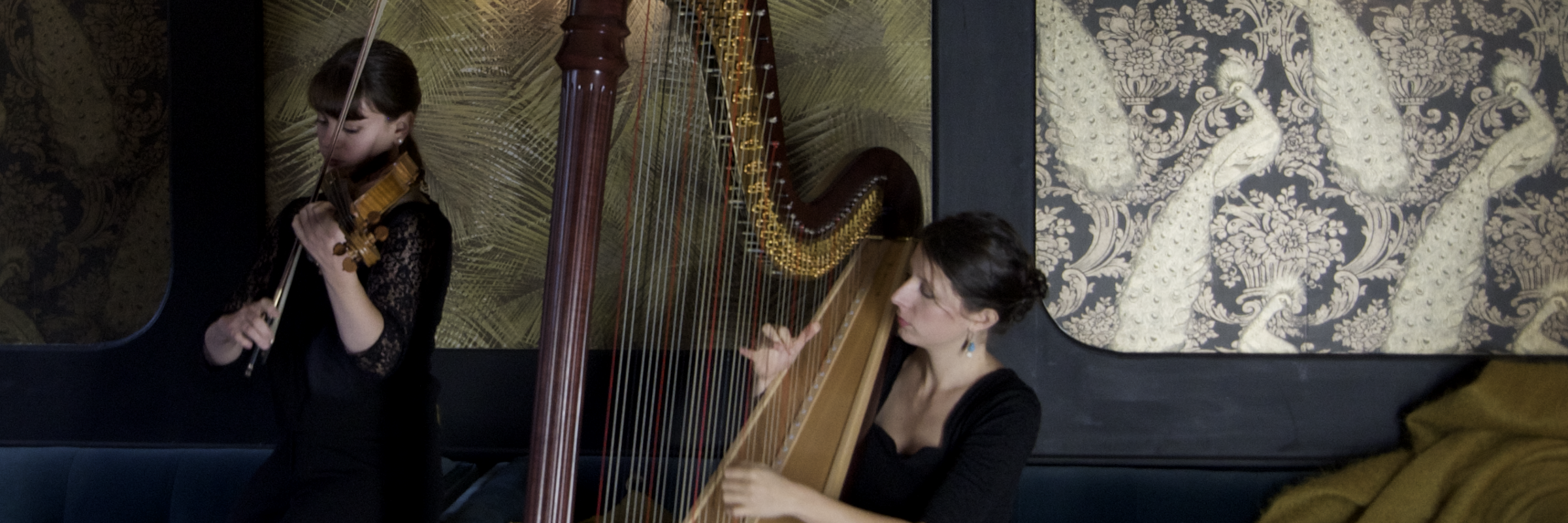 Emeline Martin, musicien Harpiste en représentation à Somme - photo de couverture n° 3