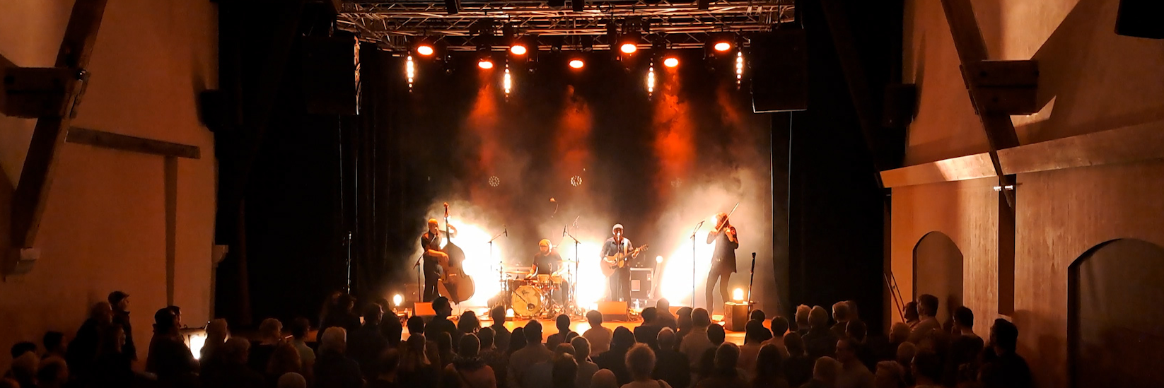 The Green Duck, groupe de musique Irlandaise en représentation à Gard - photo de couverture n° 5