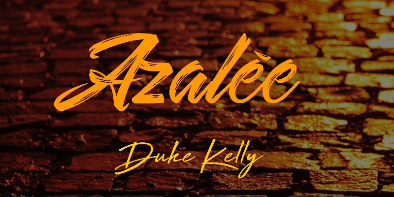 Duke Kelly, musicien Hip-Hop en représentation - photo de couverture