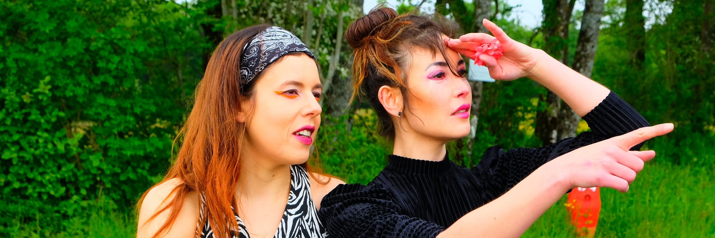 Zebraqueenz, musicien Chanteur en représentation à Haute Savoie - photo de couverture