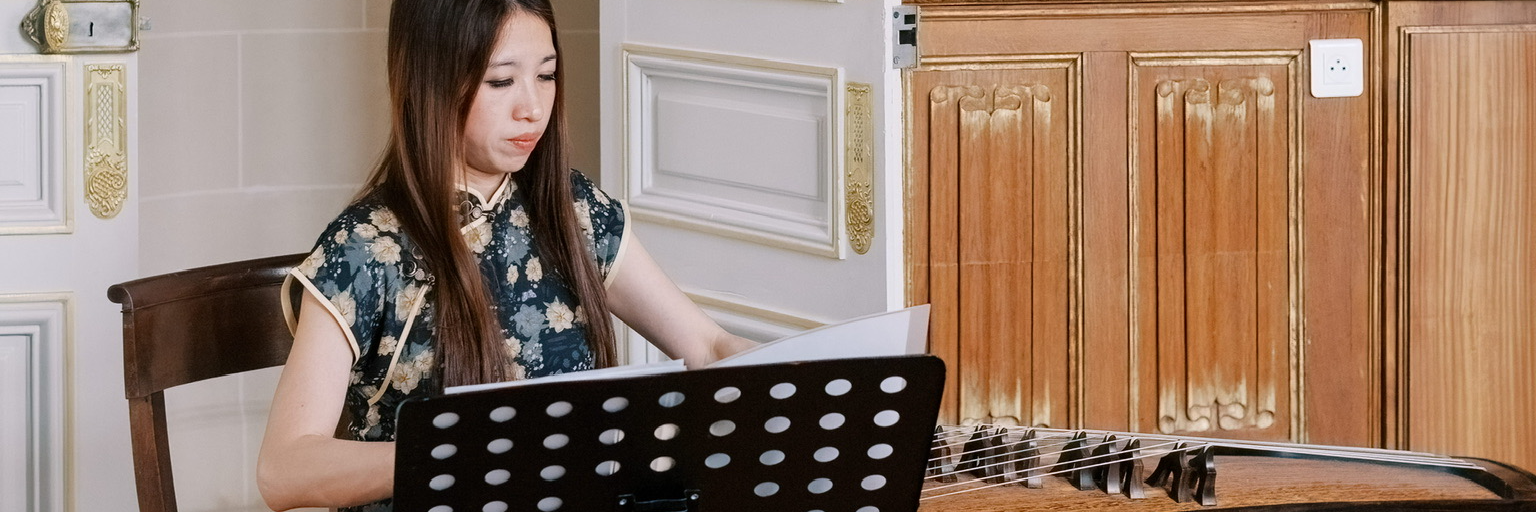 Tientien Guzheng  古箏, musicien Harpiste en représentation à Seine et Marne - photo de couverture n° 3