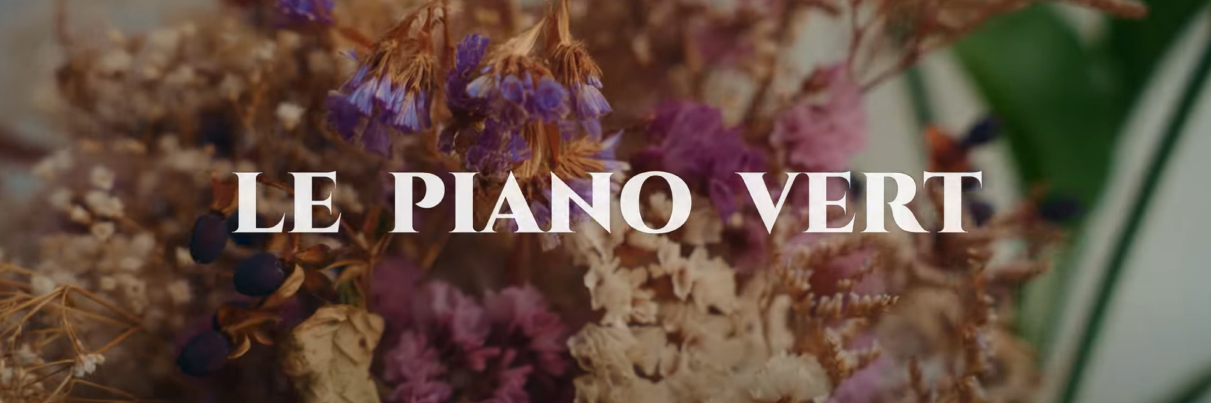 Le Piano Vert, musicien Pianiste en représentation à Bas Rhin - photo de couverture n° 1