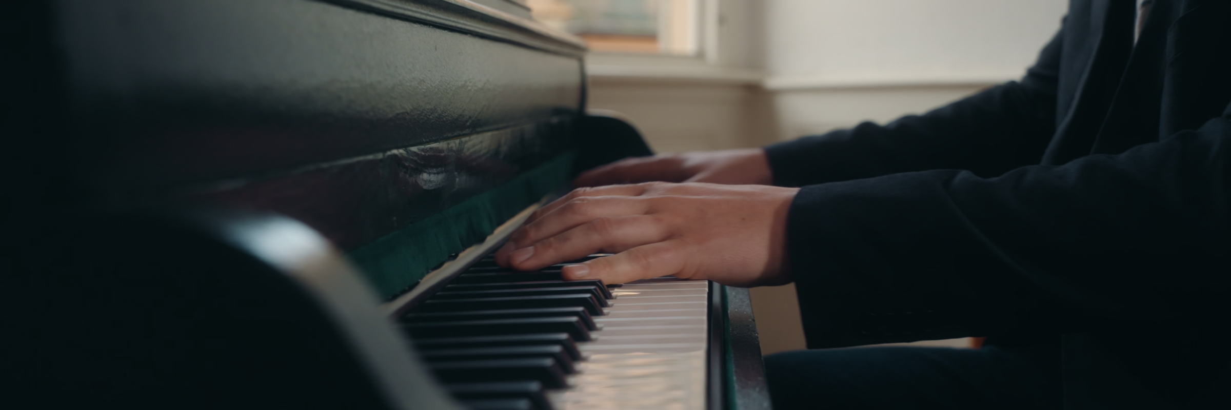 Le Piano Vert, musicien Pianiste en représentation à Bas Rhin - photo de couverture n° 3