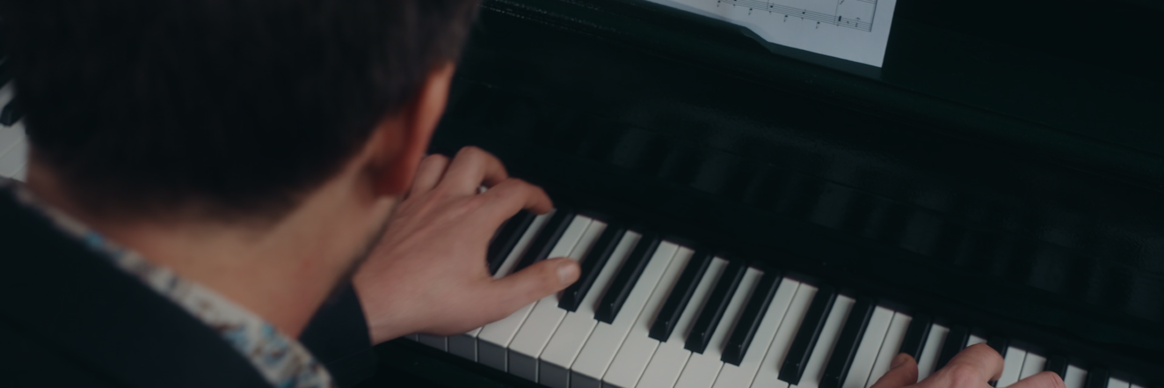 Le Piano Vert, musicien Pianiste en représentation à Bas Rhin - photo de couverture n° 4