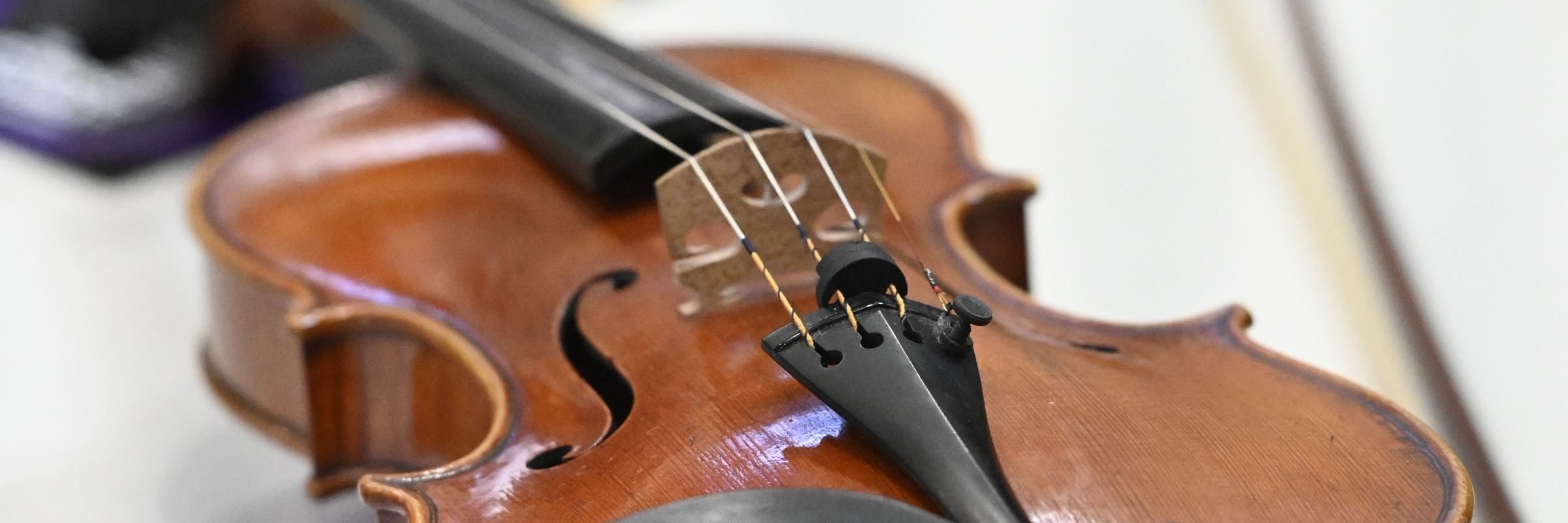 Louison, musicien Violoniste en représentation à Gironde - photo de couverture