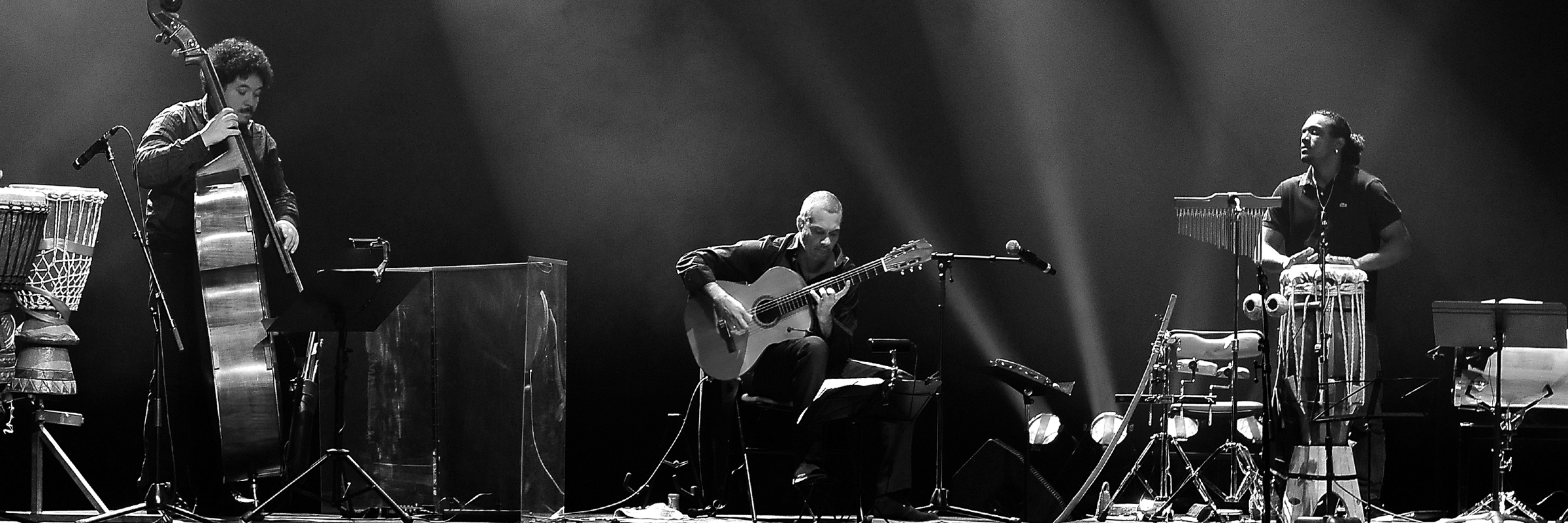 Mia SERCO, musicien Jazz en représentation à Gironde - photo de couverture