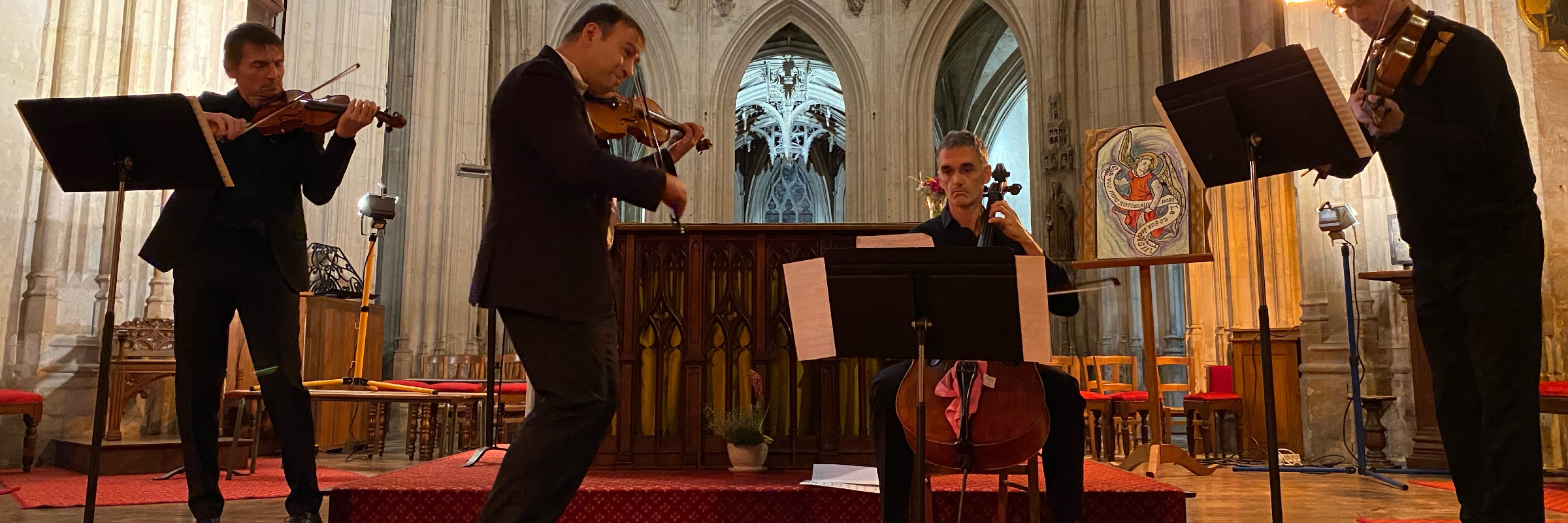 Liviu BADIU, musicien Violoniste en représentation à Sarthe - photo de couverture n° 1