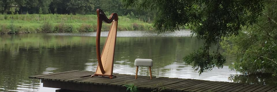 Syelh Sandy, musicien Harpiste en représentation à Loir et Cher - photo de couverture n° 2