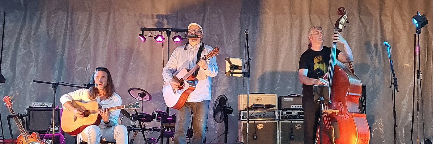 Railroad Stomp, groupe de musique Acoustique en représentation à Yvelines - photo de couverture n° 4