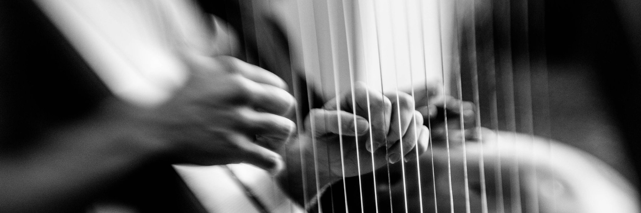 Ogma - Harpe & Handpan, musicien Acoustique en représentation à Ille et Vilaine - photo de couverture