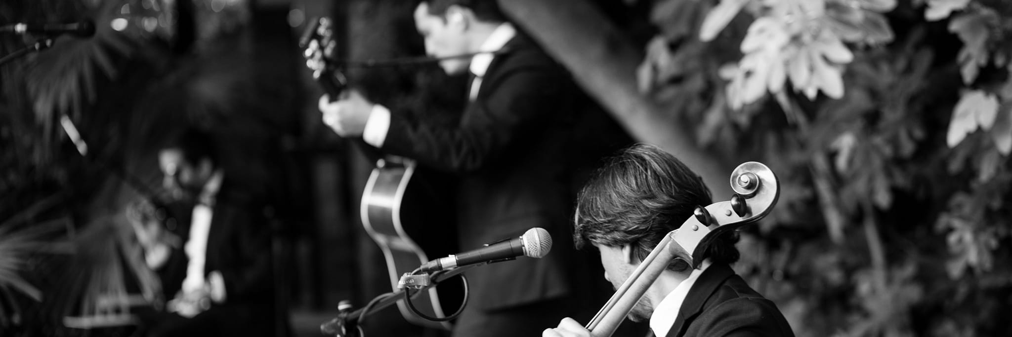 Apollo Fish, groupe de musique Pop en représentation à Gard - photo de couverture