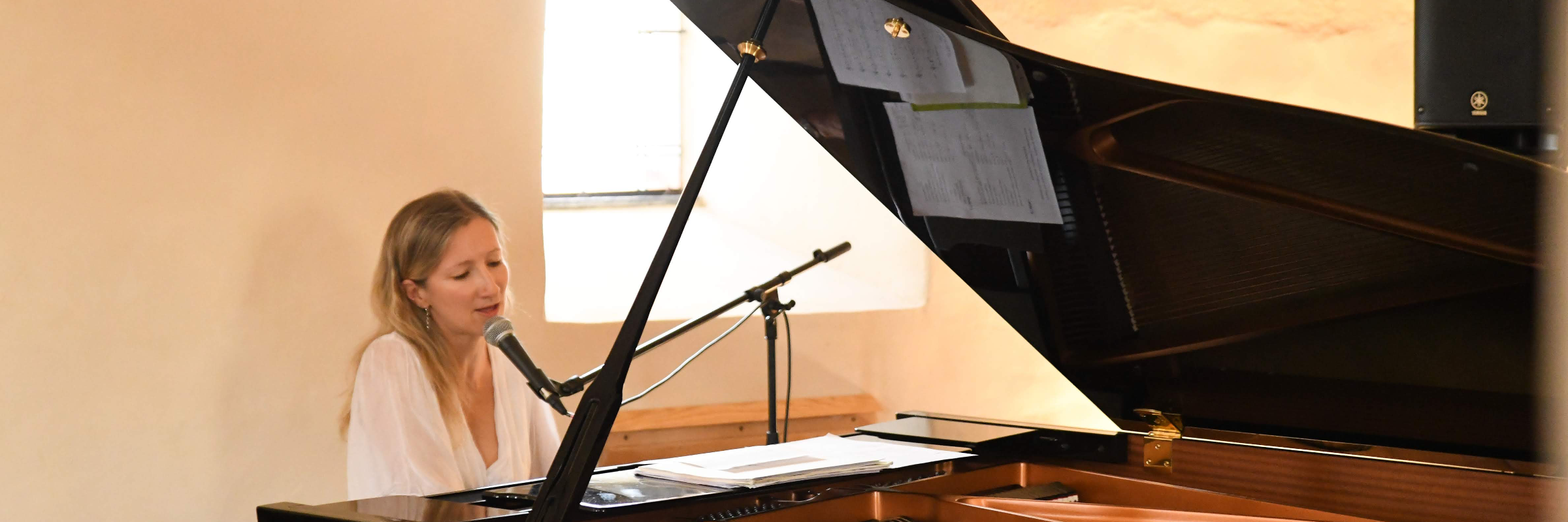 Césane, groupe de musique Pianiste en représentation à Rhône - photo de couverture n° 2