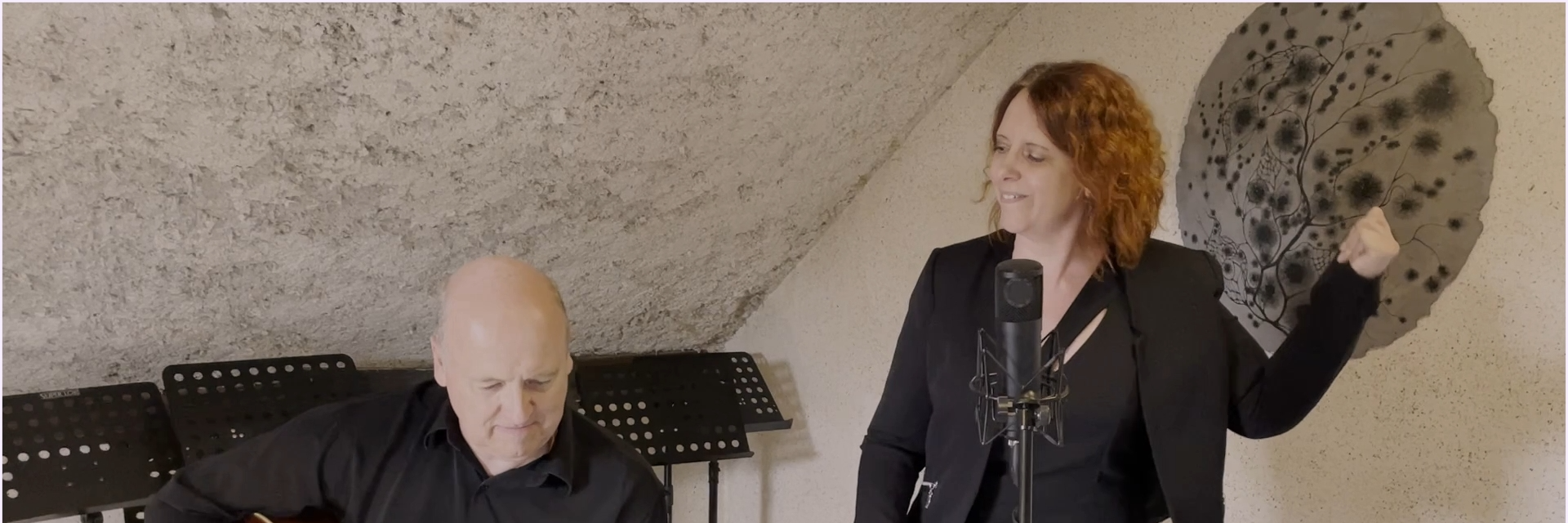 Roxane Duo, musicien Chanteur en représentation à Vosges - photo de couverture