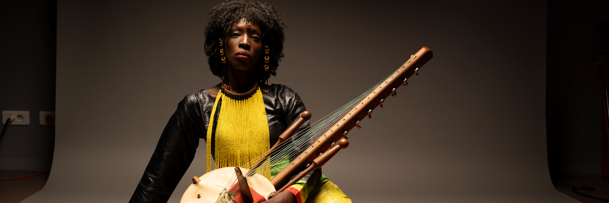 Founé Sow , groupe de musique Musiques du Monde en représentation à Val de Marne - photo de couverture