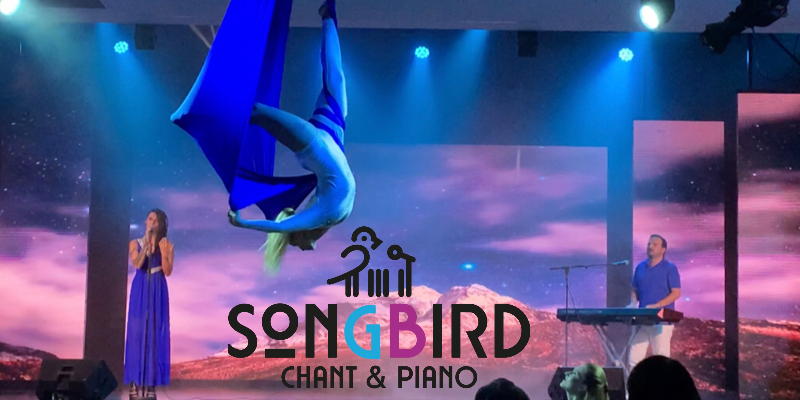 SONGBIRD , musicien Chanteur en représentation à Haute Savoie - photo de couverture n° 2