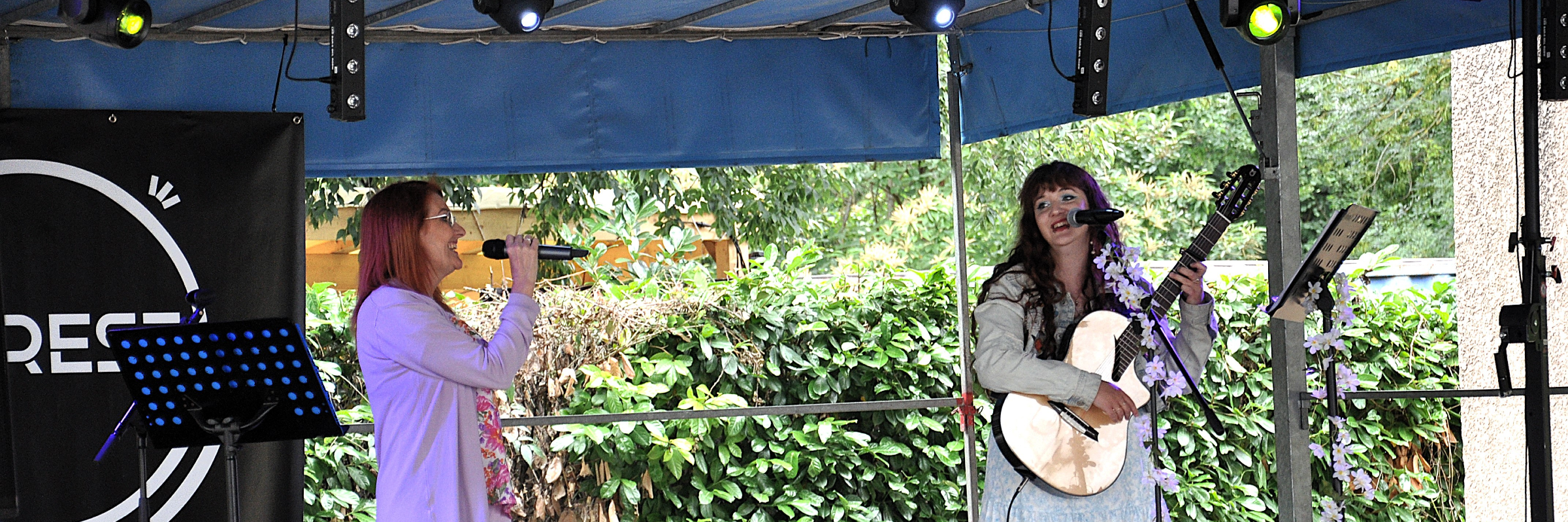 Laurie , musicien Chanteur en représentation à Haute Garonne - photo de couverture n° 2