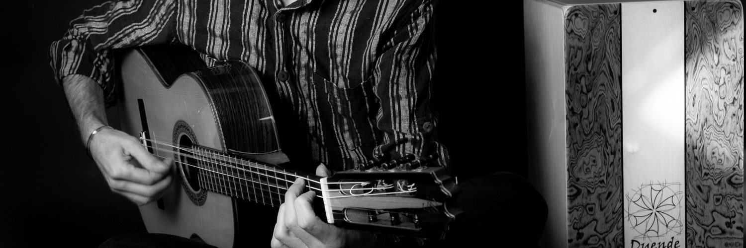 Stéphane Péron, musicien Guitariste en représentation à Ille et Vilaine - photo de couverture n° 2