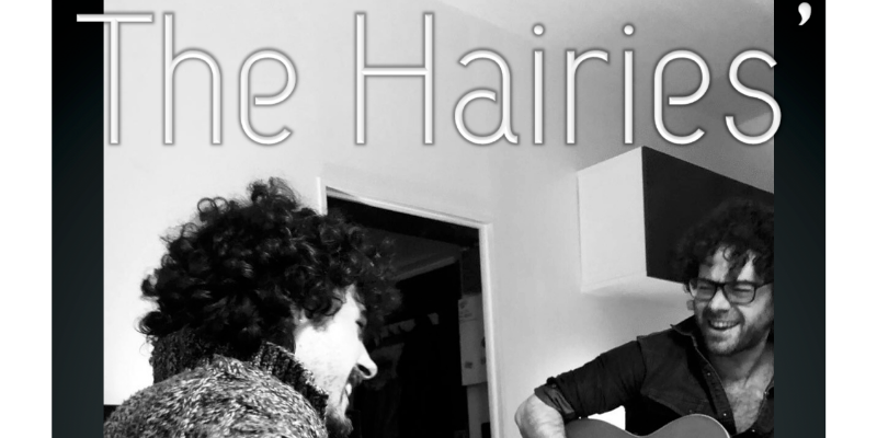 THE HAIRIES', musicien Chanteur en représentation - photo de couverture