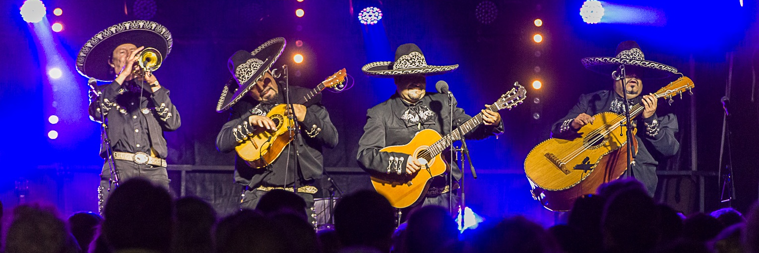 MARIACHI VALDES, Groupe de Musique Acoustique en représentation à Deux Sèvres - photo de couverture n° 2