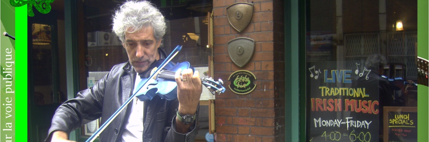 Violon Bleu, Musiciens Violoniste en représentation à Loire - photo de couverture n° 4